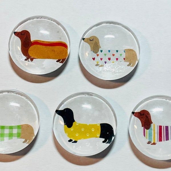 Dachshund magnet, dachshund magnets, dachshund gift, weiner dog gift, dachshund handmade, 1" magnets dachshunds, dachshund lover gift