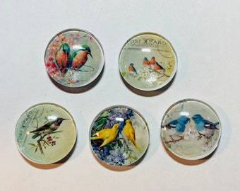 Bird magnet set, bird magnet, handmade bird magnets set of 5, bird gift, set of five magnets. Gift for bird lovers