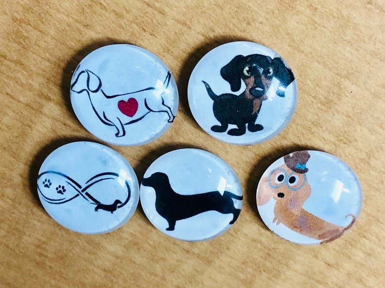 Dachshund magnet, wiener dog gift, dachshund magnet set, dachshund gifts, Doxie magnet set, Wiener dog magnet set immagine 6