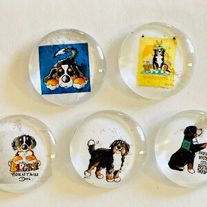 Bernese mountain dog, glass Magnet set, dog magnets, bernese magnets, dog gift, bernese mountain dog gift, dog, handmade magnets