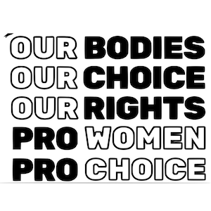 Women&#39;s rights car decal, women&#39;s rights decal, feminist car decal, window decal, roe v wade car decal, feminist gift, roe v wade decal,