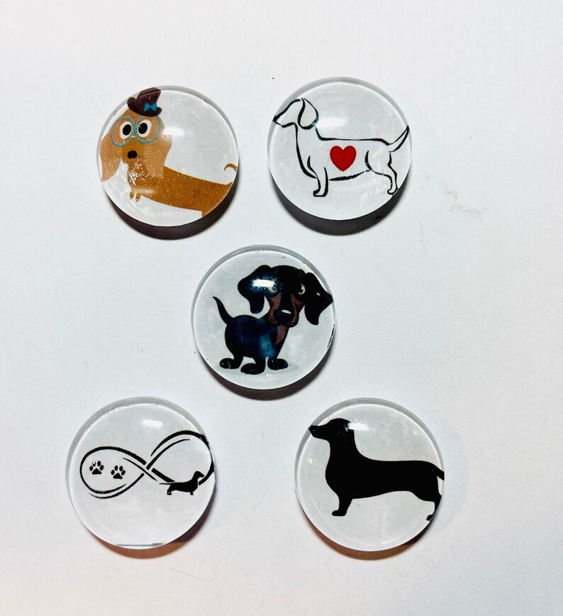Dachshund magnet, wiener dog gift, dachshund magnet set, dachshund gifts, Doxie magnet set, Wiener dog magnet set immagine 2