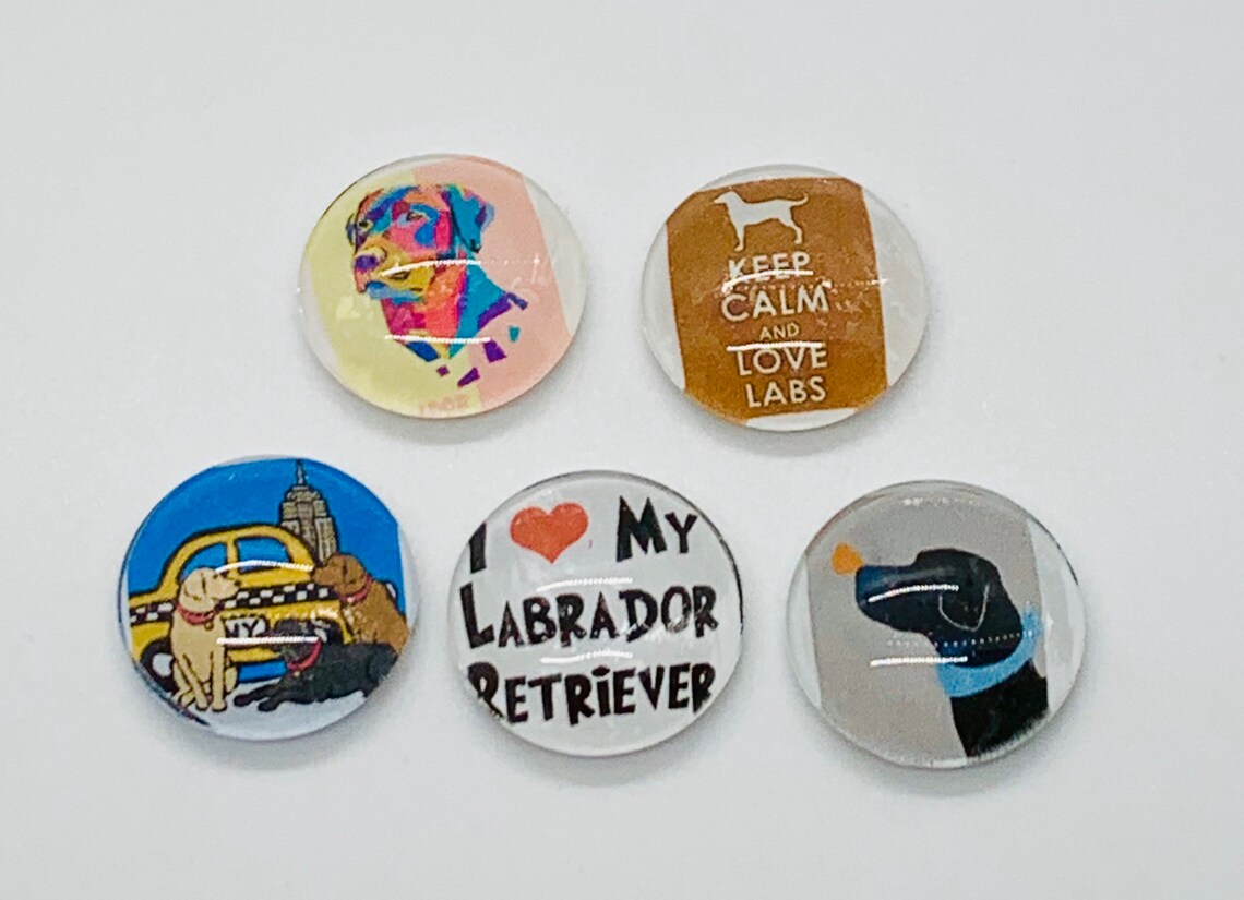 Labrador Magnets, Glass Magnet Sets, Black Lab Magnets, Labrador Magnet ...