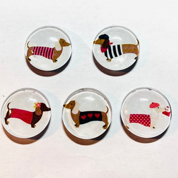 Dachshund magnet, dachshund magnets, dachshund gift, weiner dog gift, dachshund handmade, set of five magnets, Doxie gift