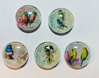 Bird magnet set, bird magnet, handmade bird magnets set of 5, bird gift, set of five magnets. Gift for bird lovers