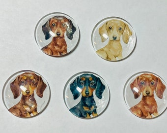 Dachshund magnet, dachshund magnets, dachshund gift, weiner dog gift, dachshund handmade, 1" magnets dachshunds, dachshund lover gift