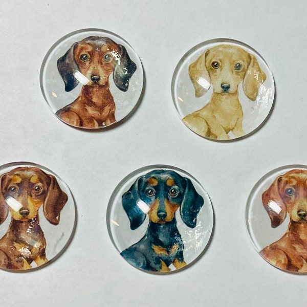 Dachshund magnet, dachshund magnets, dachshund gift, weiner dog gift, dachshund handmade, 1" magnets dachshunds, dachshund lover gift