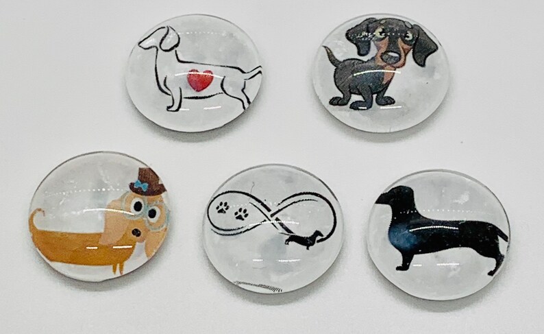Dachshund magnet, wiener dog gift, dachshund magnet set, dachshund gifts, Doxie magnet set, Wiener dog magnet set immagine 5