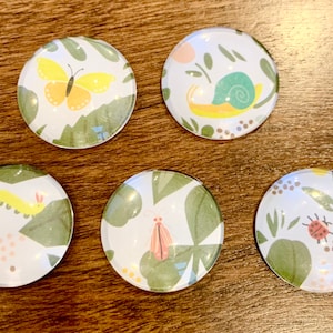 Glass insect bug magnets,  Insect magnet set, glass magnets, bug magnet set, insect gifts, bug gifts