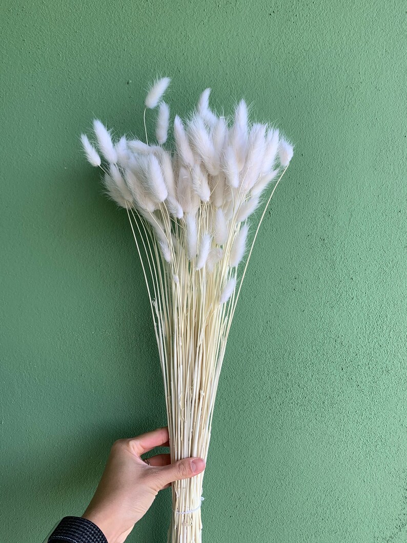 Natural & White Bunny Tails Bunch Dried Flowers DIY Rustic Etsy UK