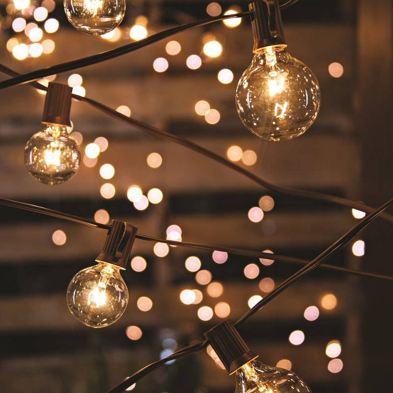 Globe Lights String Party Lighting Outdoor Indoor Globe Lights String Party