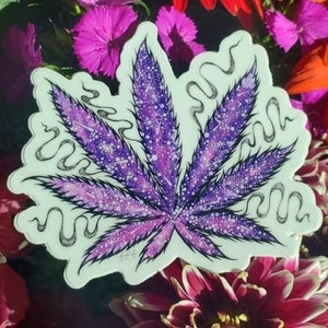 Medical Marijuana Sticker