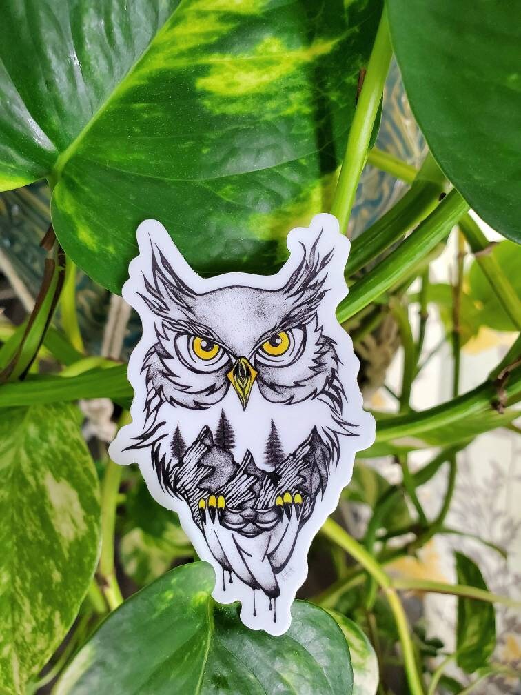 Owl Vinyl Sticker - Etsy