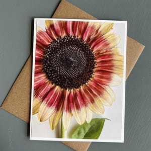 Ruby and Cream Sunflower Card