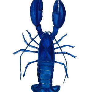 Carte postale Homard
