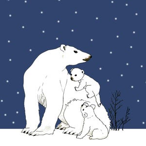 Carte postale - Ours Polaire