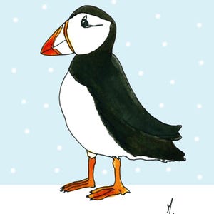 Carte postale - Macareux sous la neige