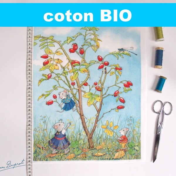 BIO patchwork coupon, organic cotton fabric, souricette illustration, illustrated coupon, rosehip, spring