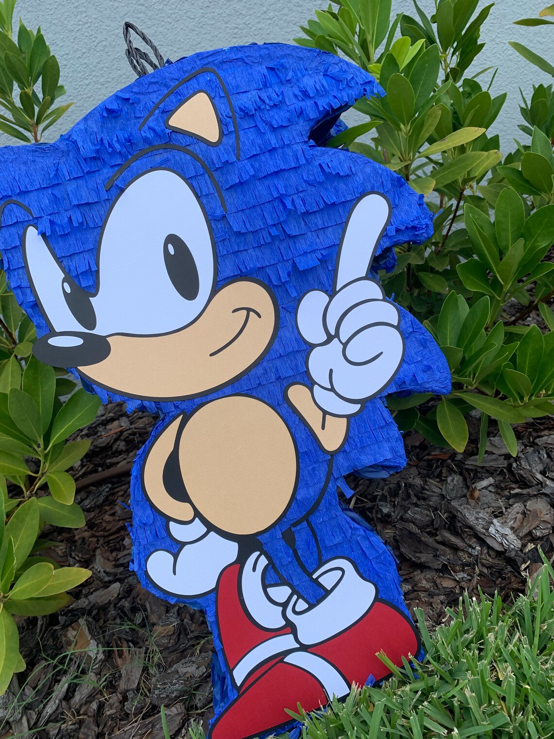 SONIC PIÑATA Sonic Party Piñatas Custom Etsy Canada