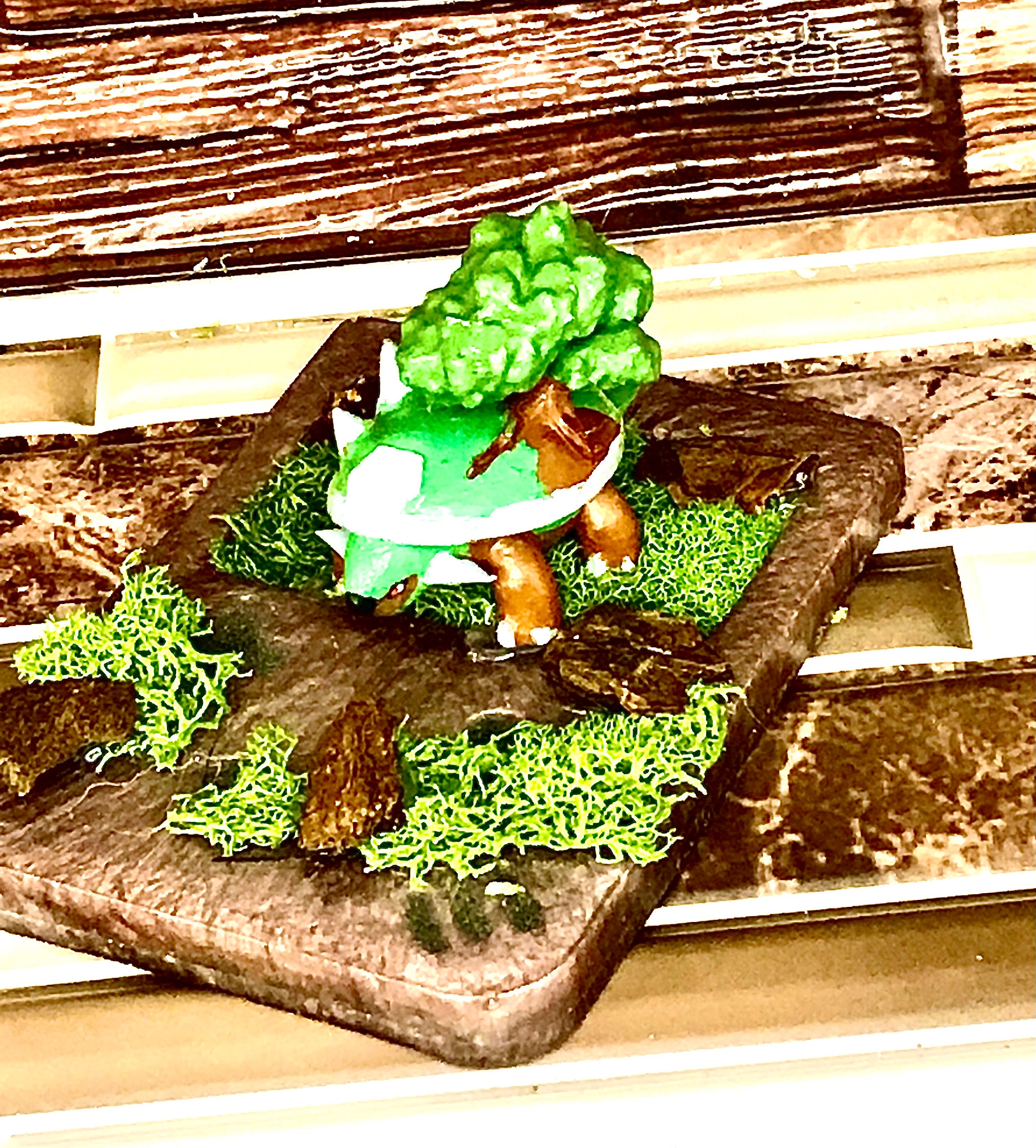 Torterra Pokemon Terrarium/diorama made to Order - Etsy Israel