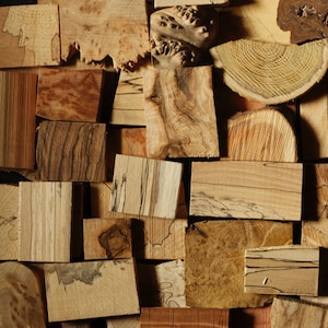 Jewellery wood, Small exceptional wooden scraps for wood creations