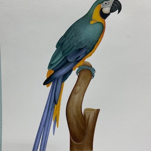 Dipinto di ara pappagallo rimasterizzato, uccello pappagallo ara australiano, dipinto di uccello originale, raffinato, decorazione murale realistica, fauna selvatica, uccello acquerello