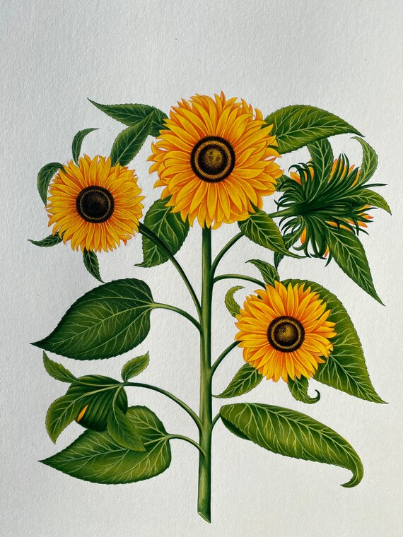 『Sunflower』絵画　水彩画 オリジナルのひまわりの水彩画：リアルな花の壁アート - Etsy 日本