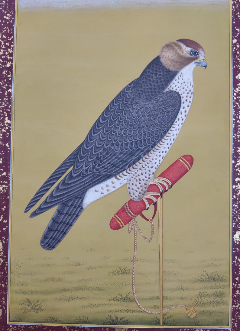 24c gold leaf border, original watercolor bird, home decor gifts Falcon Eagle Birds miniature Painting in Mughal style Antique vintage art