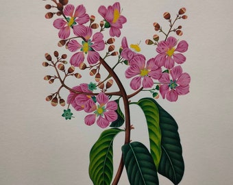 Jarul botanical flowers (miniature original watercolor painting ,wall decor, wildflowers, original flower botony handmade)