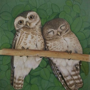 Love couple of owl painting, owl original watercolour miniature painting