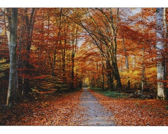 Forest Sparkle Print Sticker Poster Big Without Frame (30 X 60 Inches)