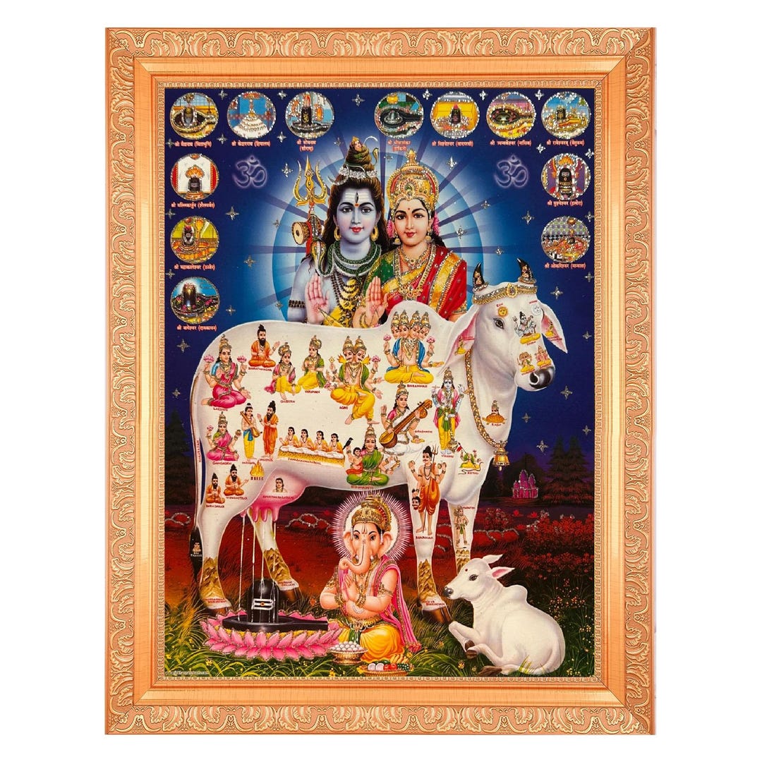 Gaumata With 33 Koti Devi Devta Shiv Parvati With 12 Jyotirlinga's ...