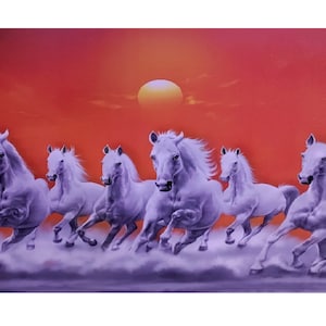 Schöne 7 laufende Pferde Glanzdruck Wandposter ohne Rahmen (50 x 40 cm)