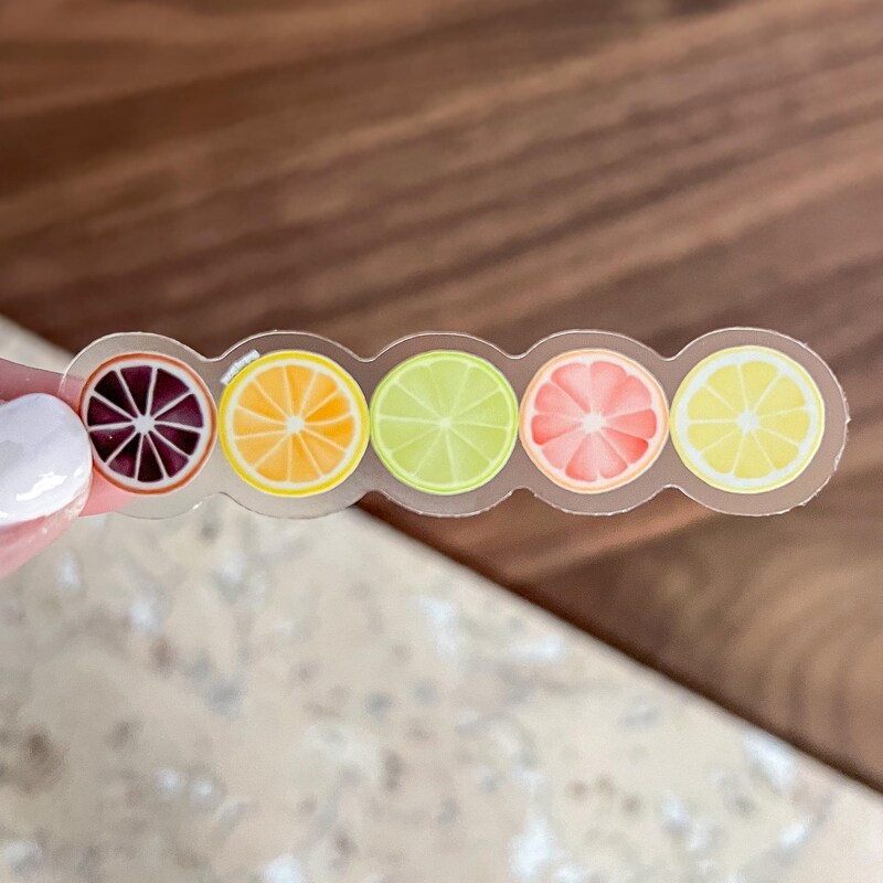 Mini Citrus Fruit Stickers - Etsy