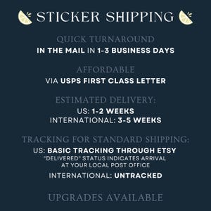 monstera adansonii sticker, swiss cheese plant sticker, clear monstera sticker, waterproof transparent plant sticker for water bottle zdjęcie 6