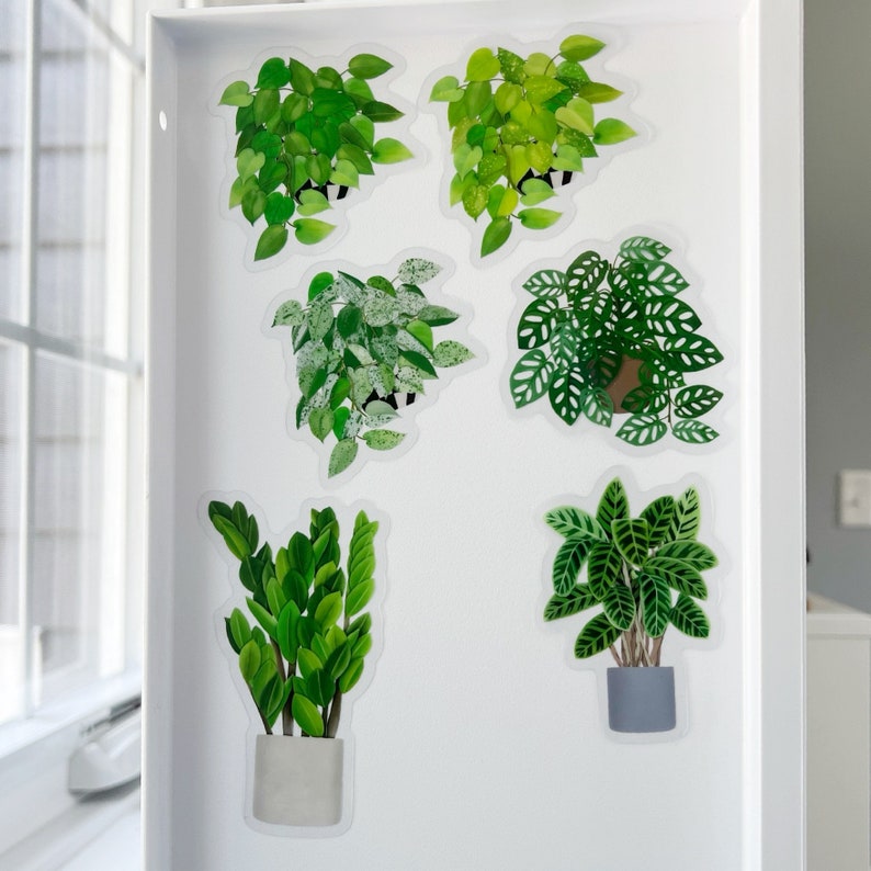 May include: A set of ten plant stickers featuring various houseplants in pots. The stickers are printed on clear vinyl and are perfect for adding a touch of greenery to any surface.