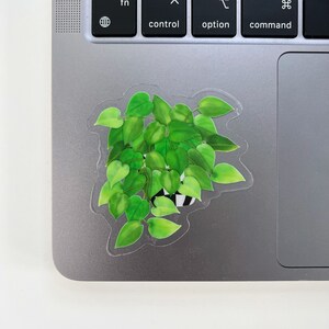May include: A green leafy plant in a white and black patterned pot, with a clear sticker outline, on a silver laptop.