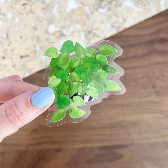 pothos plant sticker: waterproof transparent potted plant sticker