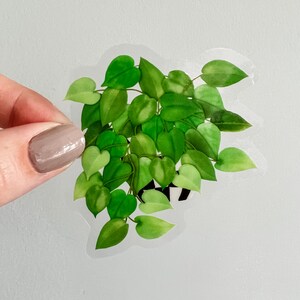 An illustration of a full pothos plant with bright green leaves of various shades, spilling over a black-and-white checkered pot, on a clear background