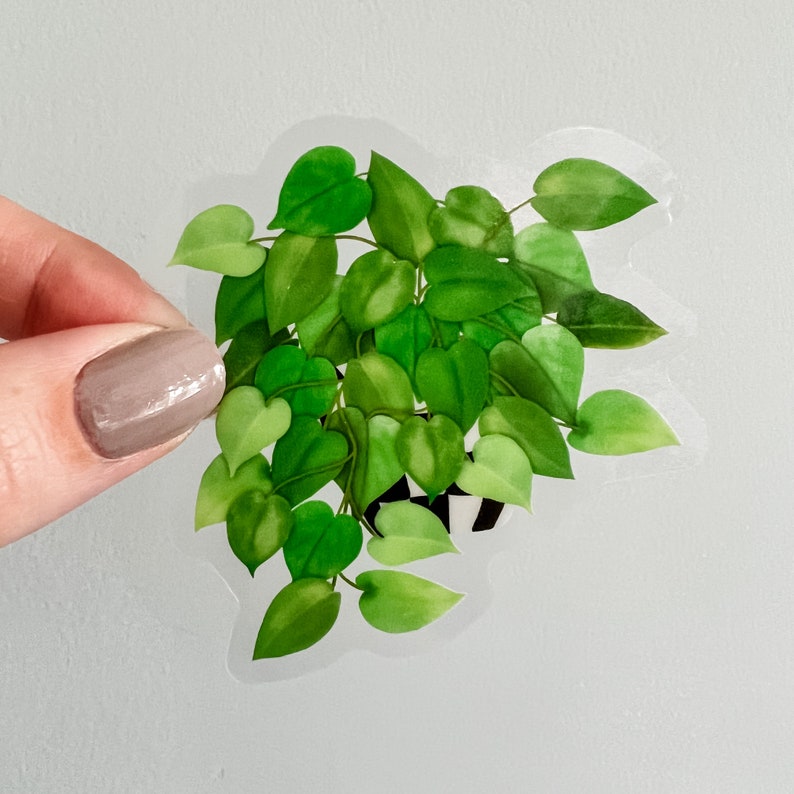 An illustration of a full pothos plant with bright green leaves of various shades, spilling over a black-and-white checkered pot, on a clear background