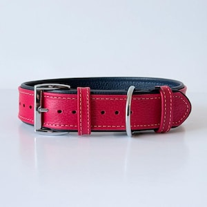 May include: A bright red leather dog collar with a navy blue interior. The collar has white stitching, a silver buckle, and a D-ring. The collar is designed for medium to large dogs.