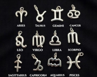 925 Sterling Silver Zodiac Sign Charms/12 Astrology Horoscope Charms/Zodiac Jewelry for Necklace Bracelet/Star Sign Necklace Charms/Per Pcs
