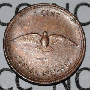 ニューブランズウィック(カナダの州) 1843年(182年前) のペニー