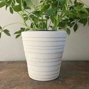 May include: A white, textured ceramic plant pot with horizontal ridges, filled with green leafy plants. The pot has a distressed, crackled finish, and sits on a weathered wooden surface. The pot is a decorative item for indoor plants.