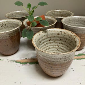 Speckled Plant Pots: Mini Indoor Plants