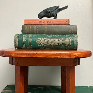 May include: A small wooden stool with four legs supports a stack of three vintage books. The top book is orange and titled Birds' Eggs, the middle is green, and the bottom is a green Pilgrim's Progress. A dark metal bird figurine sits on top.
