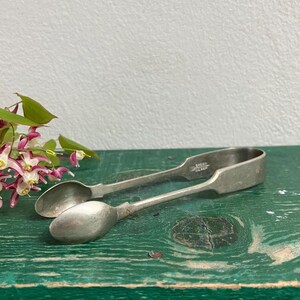 May include: Vintage silver sugar tongs with spoon-shaped ends, resting on a distressed green surface. The tongs are marked with the text "SPEED SILVER". A sprig of pink and white flowers is in the background.
