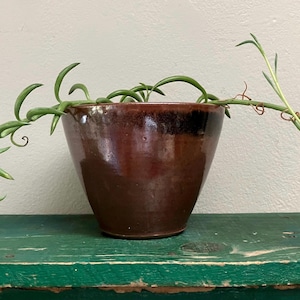 May include: A glossy, dark brown ceramic planter with a tapered, conical shape. The pot contains a trailing succulent plant with long, slender, green, bean-shaped leaves that extend outward from the rim on both sides of the vessel.