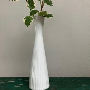 May include: A tall, white, ribbed vase holds a sprig of greenery with green and white leaves. The vase has a slender neck and a flared base. The background is a neutral gray, and the vase sits on a dark green surface.