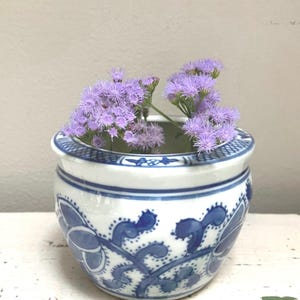 May include: A small, white ceramic pot with blue floral designs and a blue rim, holding a cluster of purple flowers. The pot has a round shape and is decorated with intricate patterns. The flowers add a pop of color to the design.